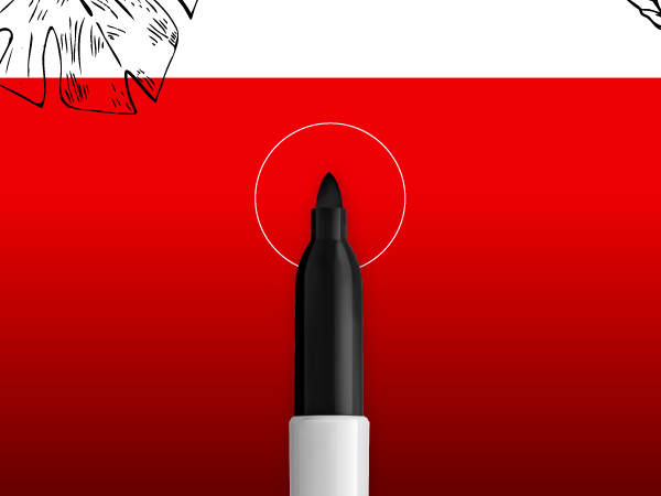 Sharpie Permanent Markers, Fine Tip, Red, 36 Count - Marks on Paper, Plastic, Metal, Wood, Perfect for Drawing, Coloring, Posters, Home, Office Supplies