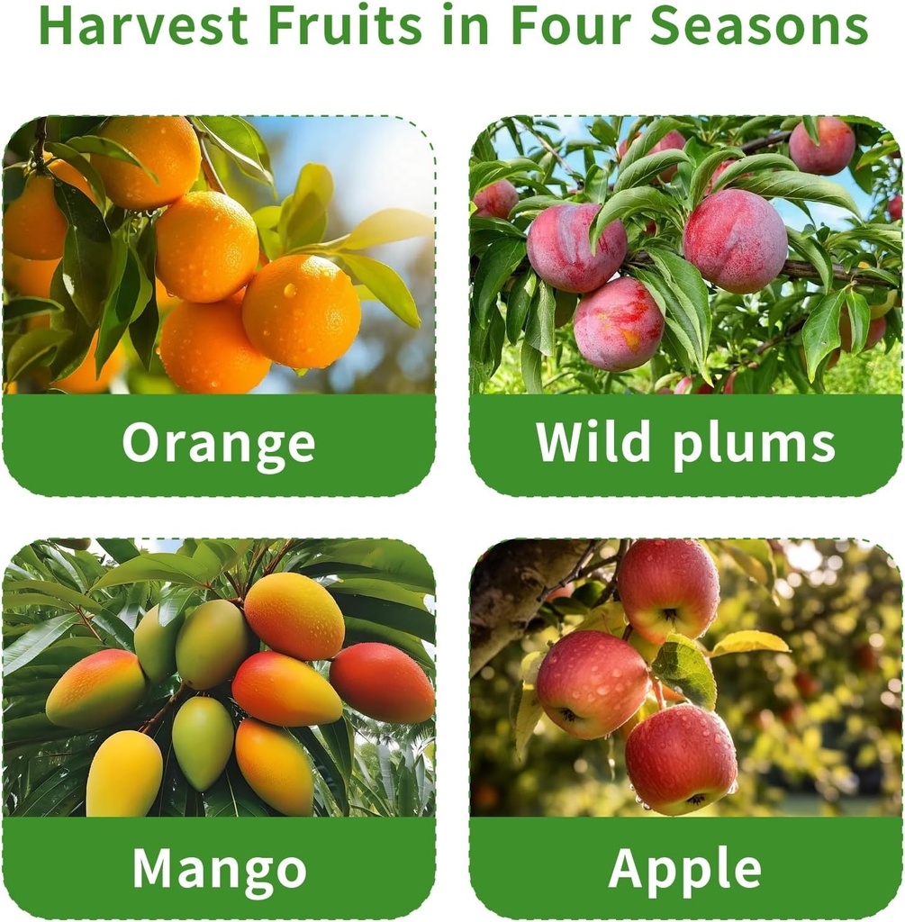 fruit-picker-pole-with-basket-telescopin-6.jpg
