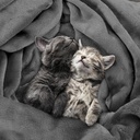 utopia-bedding-fleece-blanket-queen-size-4.jpg