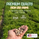 premium-quality-raw-peanuts-in-shell---1-6.jpg