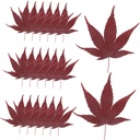 30pcs Sushi Bamboo Leaves Tray Sashimi Backdrop Japanese Sushi Tray Decor Leaf Decor Serving Leaf s s Sashimi Dispenser Maple Food