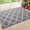 Finchitty Indoor Door Mat, Dirt Resistant and Absorbent, Low-Profile, Non-Slip, Washable Inside Floor Mats for Front Door, Back, and Entrance, 32" x 20", Grey