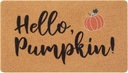 UINI Fall Door Mat, Hello Pumpkin Welcome Door Mats Outdoor Indoor, Fall Pumpkin Doormat Entrance Rugs for Autumn Door Decoration, Resist Dirt, Easy to Clean, 17" x 30"