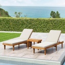 Christopher Knight Home Shane Water-Resistant Chaise Lounge Chair Cushion Outdoor Set of 2 with Removable Cover, 78.75" L x 23.75" W x 1.5" H, Cream 2 Count