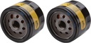 Briggs & Stratton 842921 Pack of 2 Oil Filters