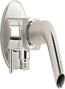 Kohler 76331-SN Shower arm with 2-way diverter