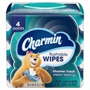 Charmin Flushable Wipes, 160 Total Wipes (4 Packs of 40)
